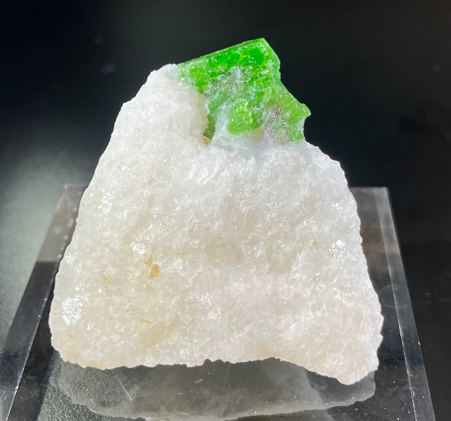 Pargasite Mineral Specimen