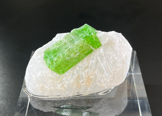 Pargasite Mineral Specimen